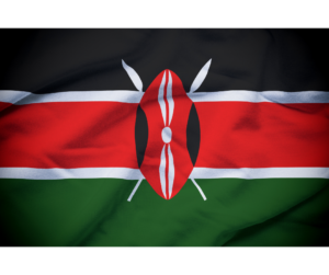 Image flag of Kenya